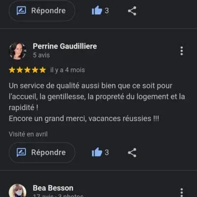 avis google (6)